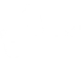 Tropical Telemedicine